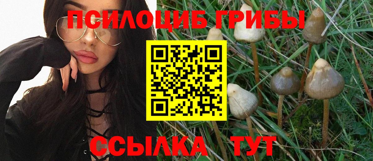 Псилоцибиновые грибы мухоморы Буйнакск