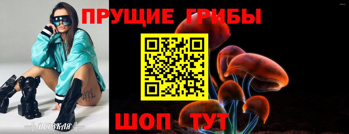 Псилоцибиновые грибы мицелий  Вход с VPN  Псилоцибиновые грибы Magic Shrooms  Буйнакск 